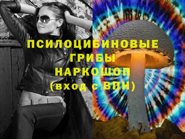 наркотики Белокуриха