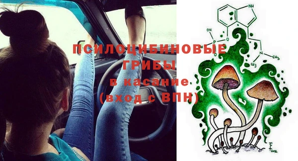 наркотики Белокуриха